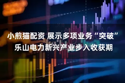 小煎猫配资 展示多项业务“突破” 乐山电力新兴产业步入收获期