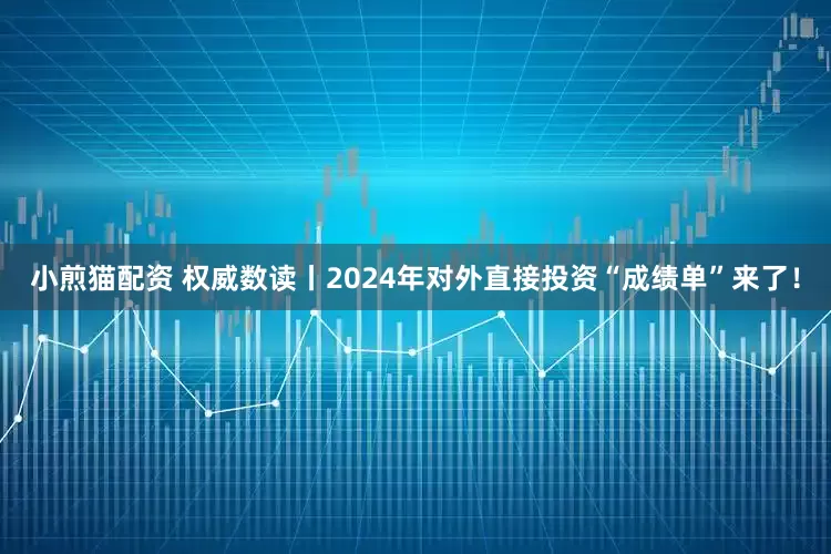 小煎猫配资 权威数读丨2024年对外直接投资“成绩单”来了！